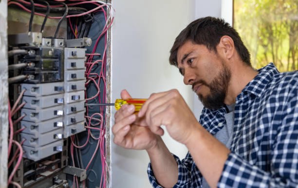 Best Surge Protection Installation  in Ripley, OH